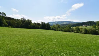 Expose Wohnen im Grünen &amp; doch stadtnah! 861 m² Baugrund mit traumhaftem Ausblick in ruhiger/grüner Lage!