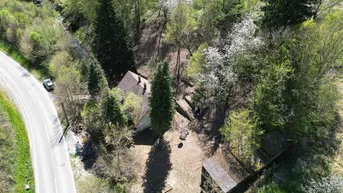 Expose BAUGRUNDSTÜCK MIT ENTWICKLUNGSPOTENZIAL IN PRESSBAUM
