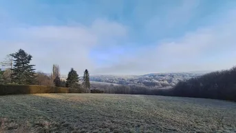 Expose Neun aneinandergrenzende landwirtschaftliche Parzellen mit 98.688 m²