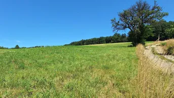 Expose 3,4 ha - aneinandergrenzende landwirtschaftliche Parzellen