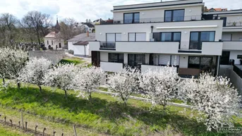 Expose Exklusive Eigentumswohnung mit Loggia – Wohnen in den Weingärten von Donnerskirchen | ZELLMANN IMMOBILIEN