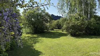 Expose Traumhaftes Baugrundstück am Neusiedler See - Perfekt für Ihr individuelles Wohnprojekt | ZΞLLMANN IMMOBILIEN