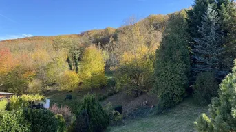 Expose „Ein Stück Wienerwald – Raum für neue Lebensideen“ | ZELLMANN IMMOBILIEN