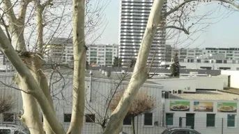 Expose Vollrenoviertes Büro/Praxis in Wien - 92m² mit Parkplatz und U-Bahn-Nähe!