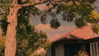 Expose Sonnendurchfluteter , komplett renovierter Bungalow mit romantischem Garten in Strasshof
