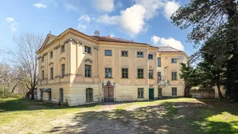 Expose Schloss Thürnlhof bestandsfrei mit jahrhundertealter Geschichte und Entwicklungspotential Verkauf aus Privatbesitz