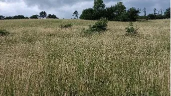 Expose #SQ - € 225 pro m² - GRUNDSTÜCK MIT 2000m² BAULAND - BLICK IN HOCHEICHBERG BEI ALTLENGBACH