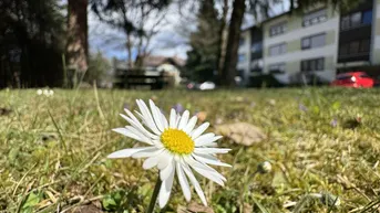 Expose Einladenedes Wohnambiente auf ca. 71m² in unvergleichlicher Naturkulisse – Direkt gegenüber der Privatklinik Villach