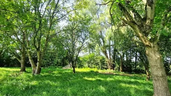 Expose GRUNDSTÜCK IN IDYLLISCHER NATURLAGE -