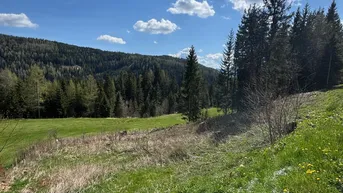 Expose Traumhaftes Baugrundstück im Herzen des Lachtals – nur 2 Minuten vom Ski- und Wandergebiet entfernt! Zweitwohnsitzwidmung!