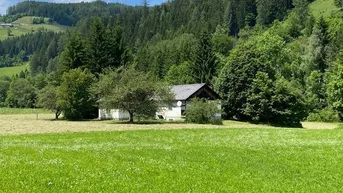 Expose 8762 Oberzeiring - Grundstück mit stark sanierungsbedürftigem Haus und landwirtschaftlicher Nutzfläche