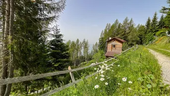 Expose NATURJUWEL UND ABSOLUTE RARITÄT AM TSCHIERNOCK - OBERHALB DES MILLSTÄTTER SEES! HIGHLIGHT: FREIZEITWOHNSITZWIDMUNG!