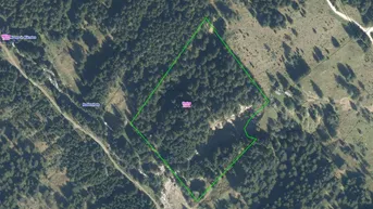 Expose GEPFLEGTER WALD IN KANING ZU VERKAUFEN