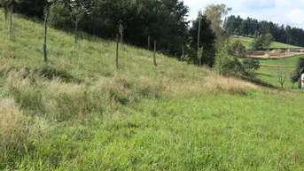 Expose Baugrund in Siedlungslage