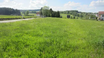 Weitläufige grüne Wiese mit vereinzelten Häusern und Bäumen im Hintergrund unter blauem Himmel.
