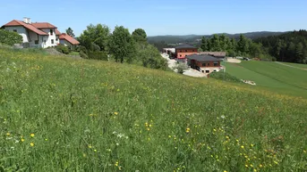 Expose Baugrund in Dorfrandlage