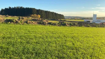 Expose Baugrundstück Grünbach bei Freistadt