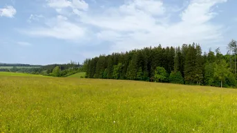Expose Landwirtschaftliche Flächen