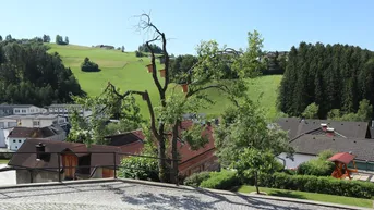 Expose Schnäppchen - Kleines Häuschen im Zentrum