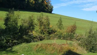 Expose Baugrund Mondseeberg - Ruhelage - Panoramasicht