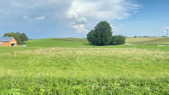 Expose Letzter Baugrund in sonniger Siedlungslage