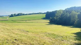 Expose LW-Nutzgrund mit Waldanteil