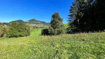 Expose Baugrundstück mit Wald