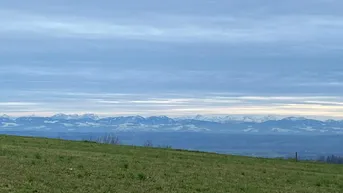 Expose Mein Baugrund im Weingarten (6 Baugründe ab ca 841m2 inkl Trenngrün)