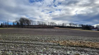 Expose Landwirtschaftlicher Nutzgrund in Alkoven