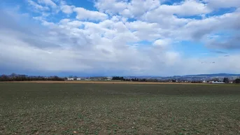 Expose Landwirtschaftliche Nutzgründe