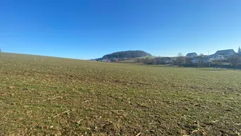 Expose Baugrundstück in Toplage am Sonnenhang GST-Nr.: 927/7