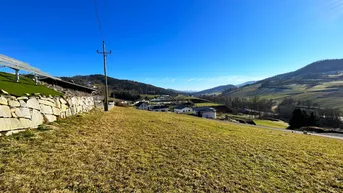 Weitläufige grüne Landschaft mit sanften Hügeln und vereinzelten Häusern unter blauem Himmel.
