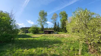 Expose Sonniges Baugrundstück vor den Toren von Linz