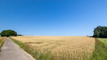 Expose Landwirtschaftliche Fläche - Acker