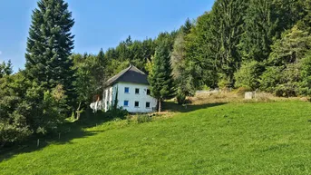 Expose Bauernhof samt Auszugshaus (Sternchenbau) mit land- und forstwirtschaftl. Grund in idyllischer Alleinlage