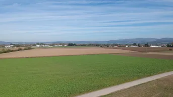 Expose Landwirtschaftlicher Nutzgrund in Alkoven