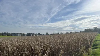 Expose Landwirtschaftlicher Nutzgrund in Leonding Holzheim