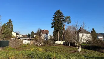 Expose Baugrund in Wels-Neustadt