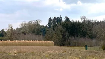 Expose Großer Baugrund in schöner Lage Nähe Ortsbereich