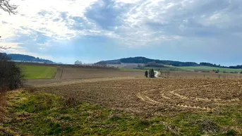 Expose Landwirtschaftlicher Grund/Ackerfläche im Ortsbereich Reiset