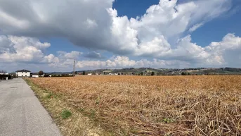 Expose Baugrundstücke in sonniger und ebener Lage in Haid