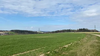 Expose Betriebsbaugrund in gut frequentierter Lage