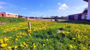 Expose Sonniges Baugrundstück