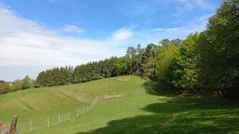 Expose Hirschgehege - eingebettet in wunderschöner ruhiger Aussichtslage !