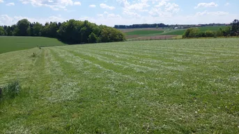 Expose landwirtschaftlicher Grund mit guter Anbindung