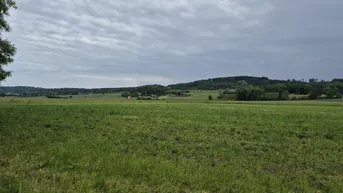 Expose Landwirtschaftlicher Nutzgrund Acker Fraham