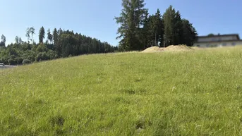 Expose Ein Platz an der Sonne - Baugrundstück ohne Bauverpflichtung