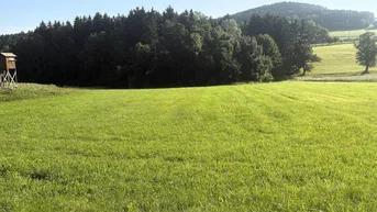 Expose Wald- und landwirtschaftliche Nutzflächen
