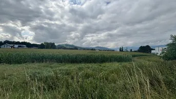 Expose Landwirtschaftliche Nutzflächen - ca. 5,5 ha