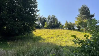 Expose Idyllisches Baugrundstück in Stadtnähe